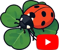 Jardins du Nord débarque sur YouTube : découvrez nos secrets en vidéo !