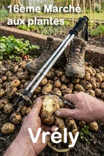 16ème Marché aux plantes